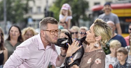 Wpadka w "Dzień dobry TVN". Pies zrobił to na dywan
