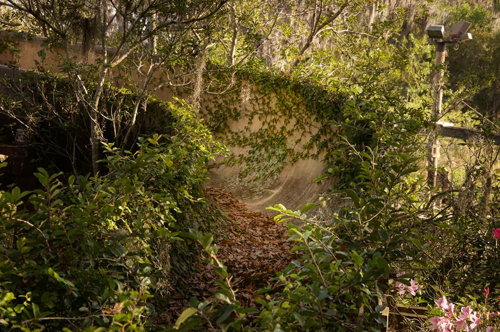 Czy opuszczony Disneyland wciąż może przypominać o dziecięcej radości? 14