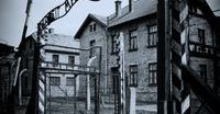 Politycy o wsparciu Fundacji Auschwitz