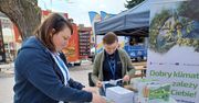 Skawina: Rozpoczął się festiwal z ulicznym jedzeniem, dyskoteką ze słuchawkami, rowerowym show i ekologią