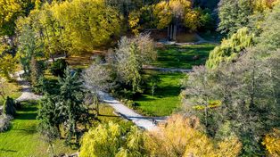 Park Oruński: Ważne zmiany w dolinie. Weź udział i zgłoś swoje uwagi