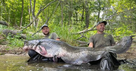 Aż przechodzą ciarki. Gigant pływa w Odrze od 30 lat