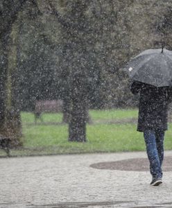 Pogoda. W środę lokalnie popada i zagrzmi. Prognoza dzienna