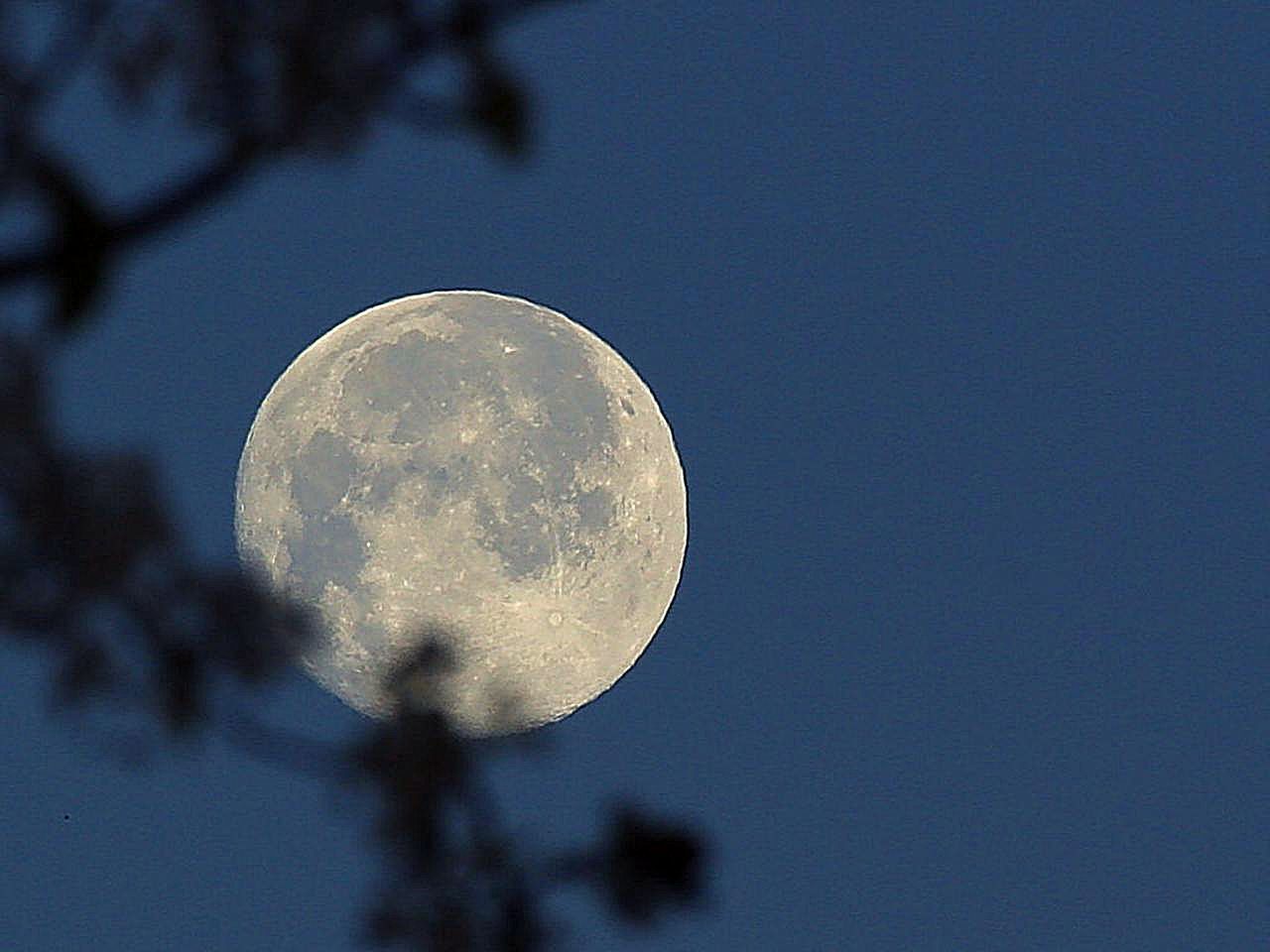 Pale Moon 27.6 dostępny. Dobry wybór dla użytkowników rozszerzeń legacy