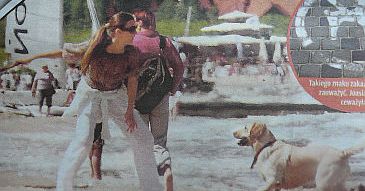 Pies Koroniewskiej sika na plaży