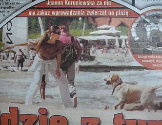 Pies Koroniewskiej sika na plaży
