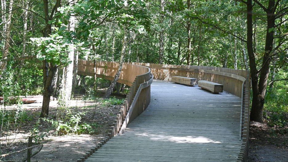 Park Aktywności Rodzinnej