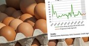 Produkcja mniej opłacalna. Ekonomiści wzięli pod lupę ceny jaj