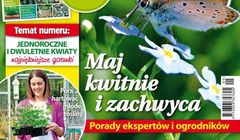 „Mam Ogród” nowym liderem sprzedaży miesięczników o ogrodnictwie. „Mój Piękny Ogród” o 35 proc. w dół