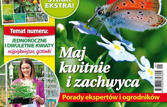 „Mam Ogród” nowym liderem sprzedaży miesięczników o ogrodnictwie. „Mój Piękny Ogród” o 35 proc. w dół