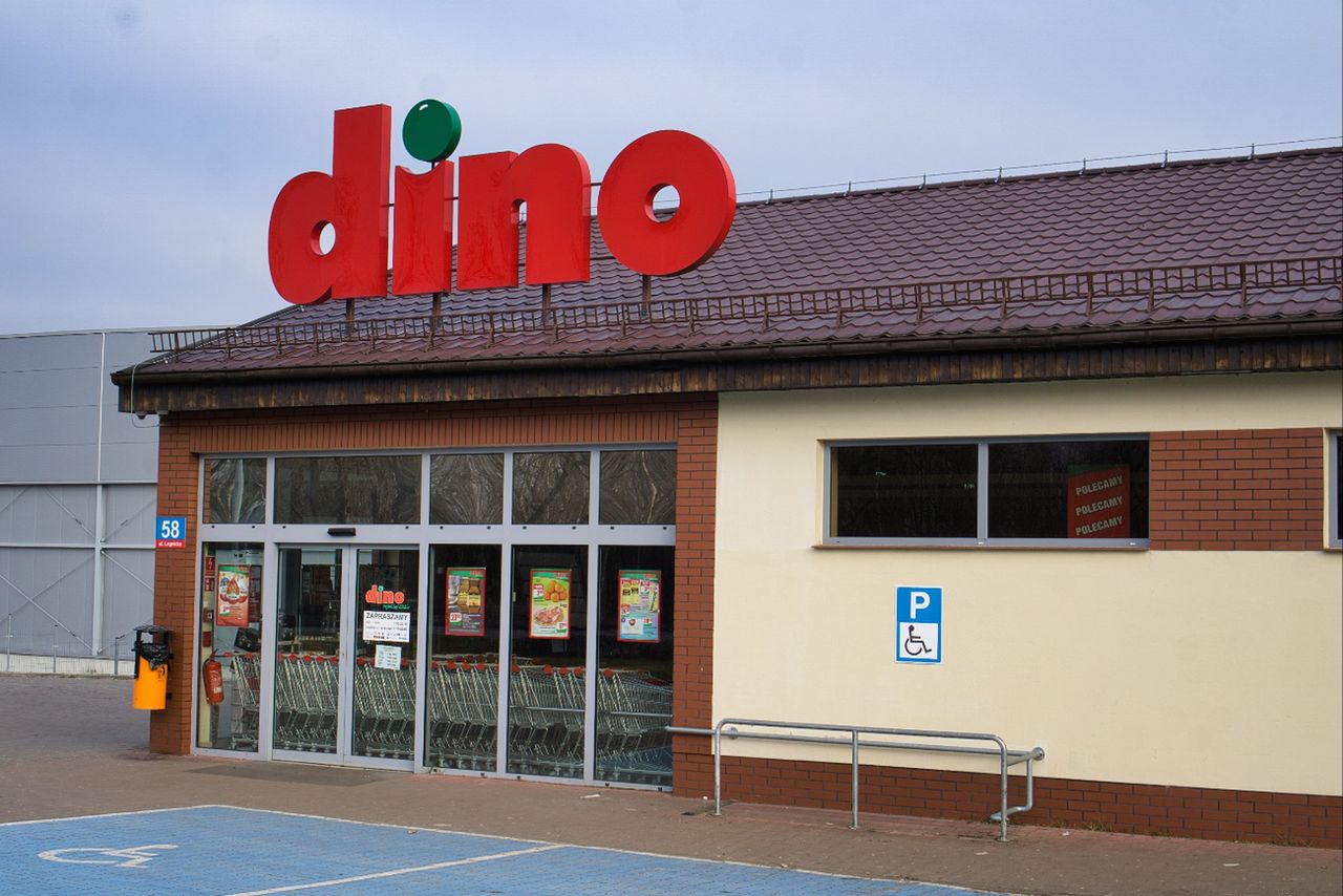 Tylko 2,95 zł za sztukę przy zakupie dwóch sztuk. Ostatnie godziny promocji w Dino