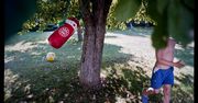 Warto być 20 czerwca - wernisaż prac laureatów Projektu Przetwórnia