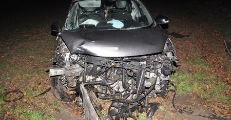 Renault zjechał na przeciwległy pas ruchu i uderzył w drzewo. Do szpitala trafiły trzy osoby