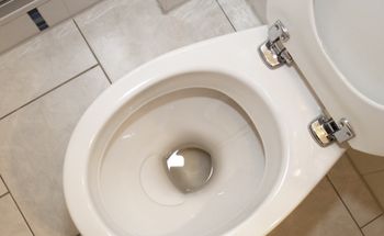 Wsyp do toalety przed wizytą gości. Po 15 minutach zapach jak w hotelu