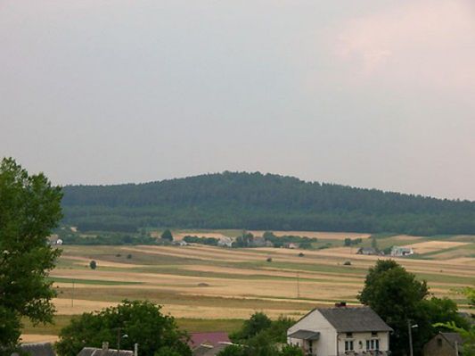 Obraz