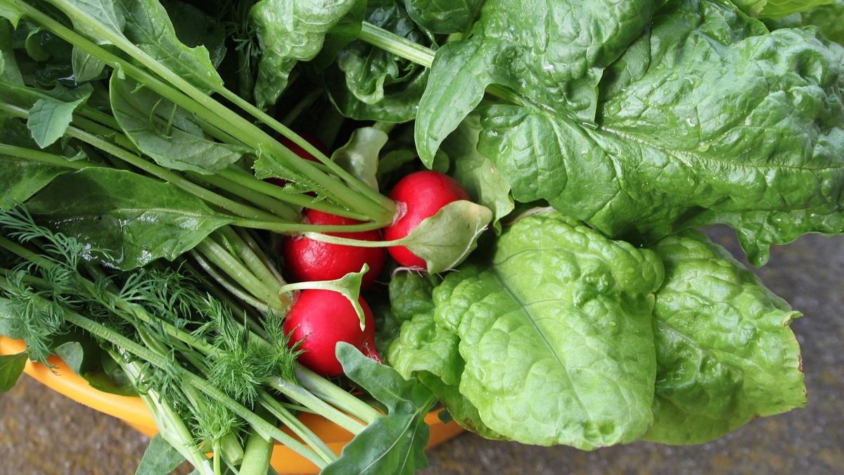  Ceny nowalijek przed świętami wzrosły 