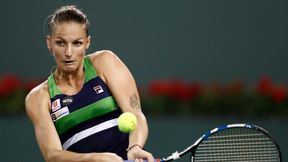WTA Miami: Karolina Pliskova wygrała 20. mecz w sezonie, odrodzenie Mirjany Lucić-Baroni