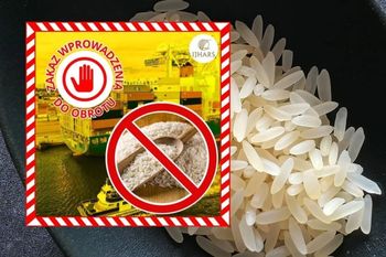 Chemia zamiast ekologii. Służby zatrzymały „zielony” ryż z Pakistanu