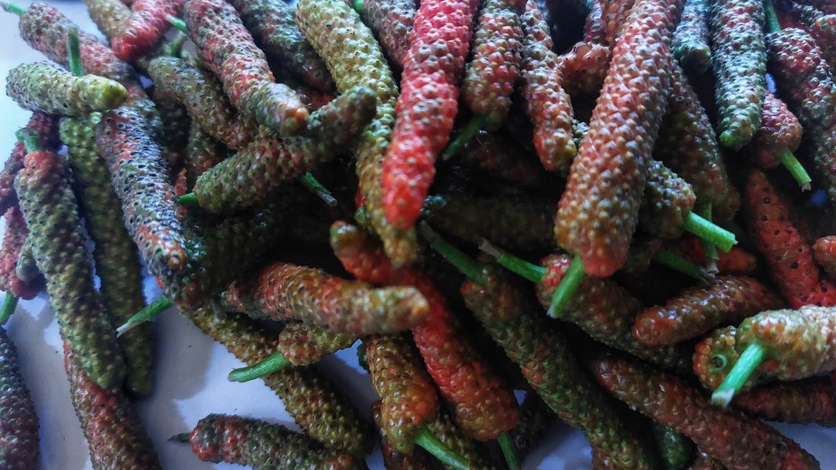 papryka