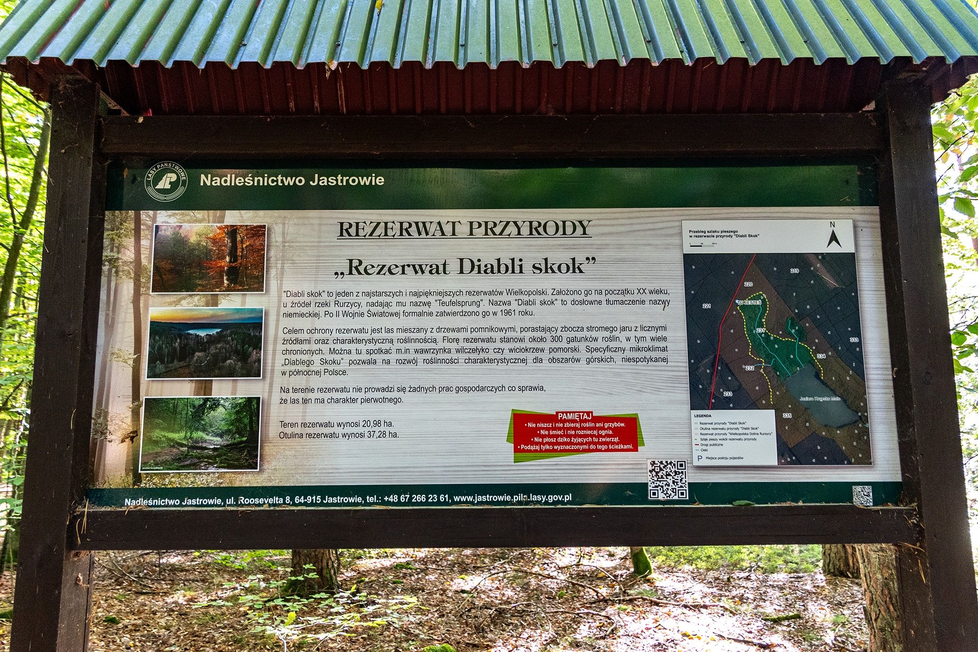 Rezerwat Przyrody "Diabli Skok"
