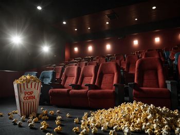 Nowa atrakcja w Beskidach. Na Czantorii rusza „Kino na Poziomie". Będzie można zobaczyć filmy w plenerze