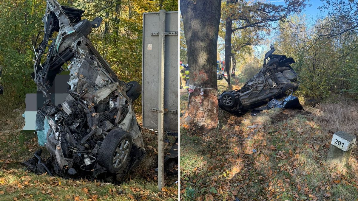 Tragiczny wypadek audi.