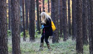 Uważaj na "masło czarownicy". Omijaj, gdy zobaczysz w lesie