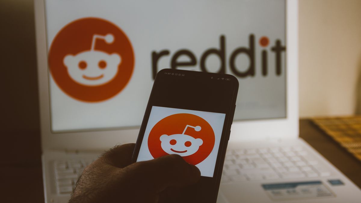 BRAZIL - 2020/06/08: In this photo illustration a Reddit logo is displayed on a smartphone. (Photo Illustration by Rafael Henrique/SOPA Images/LightRocket via Getty Images)