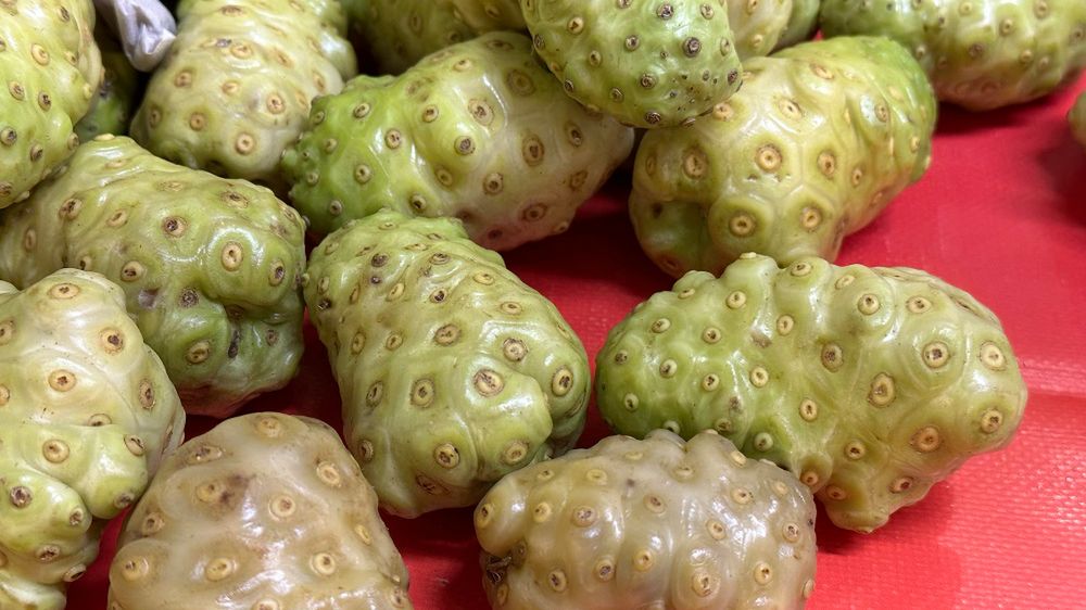 "Polinezyjska aspiryna" pomaga na bóle stawów