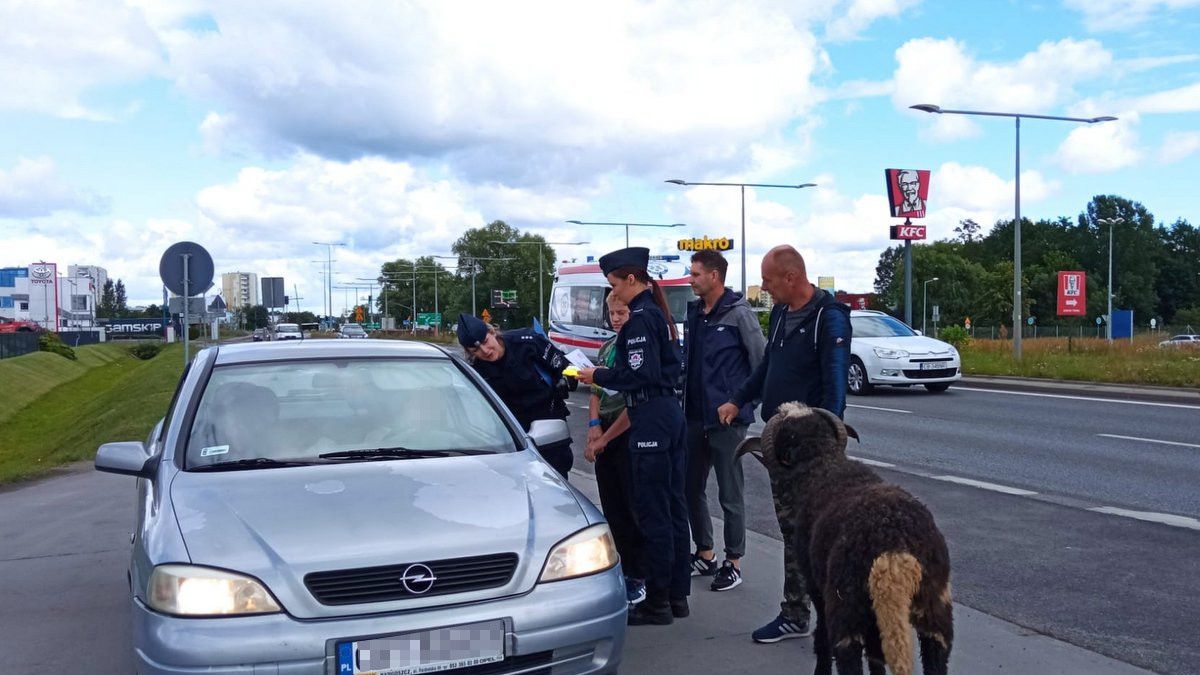 Nie, to nie fotomontaż