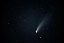 Mknie w kierunku Ziemi. Zielona kometa coraz bliżej