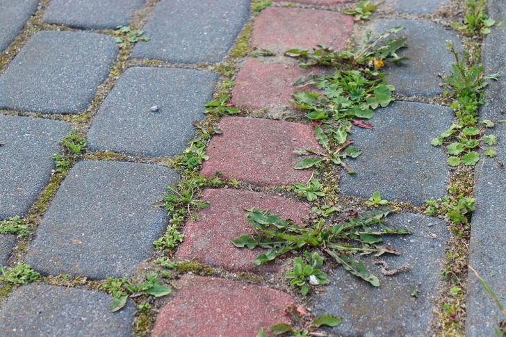 Zrób tak z kostką przed zimą. Wiosną sobie podziękujesz