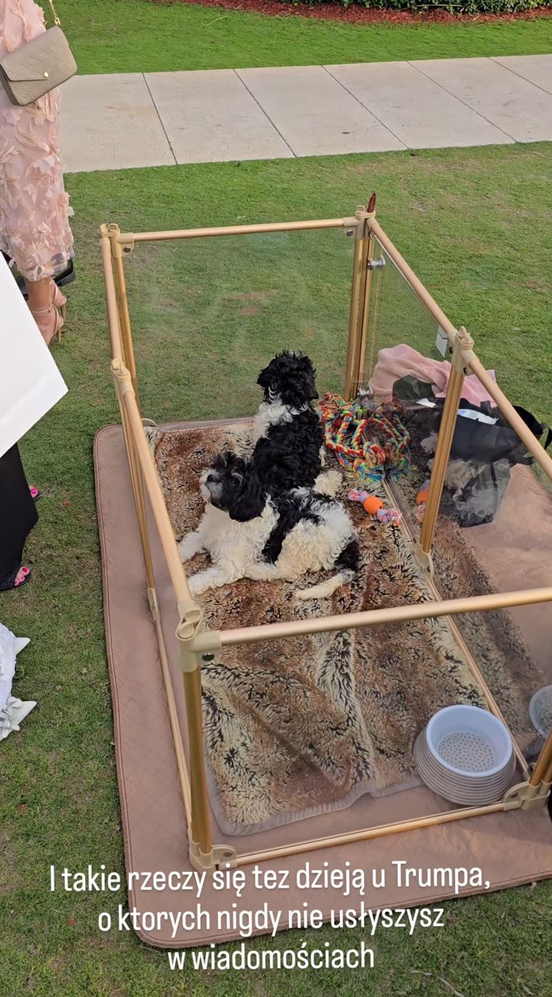 Aneta Glam relacjonuje imprezę u Donalda Trumpa