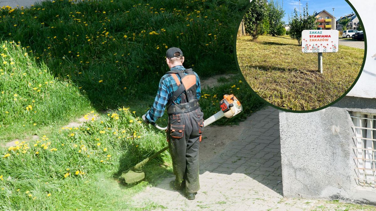 nietypowe tabliczki pojawiły się na osiedlu w Gliwicach