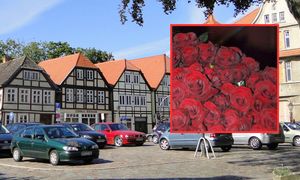 Przesyłka z różami wywołała alarm w Niemczech. Ewakuowano mieszkańców