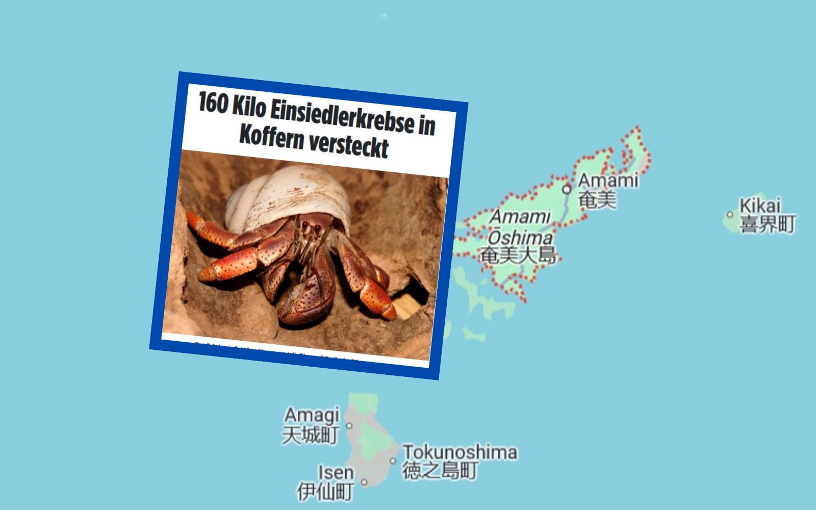 Chińczycy chcieli przemycić kraby