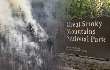 Pożar w najczęściej odwiedzanym parku USA. Akcja trwa od niedzieli