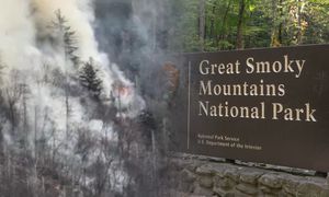 Pożar w najczęściej odwiedzanym parku USA. Akcja trwa od niedzieli