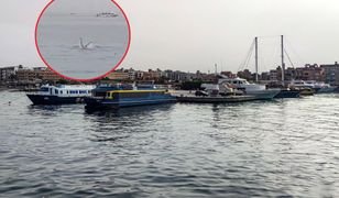Atak rekina w Hurghadzie. Nowe doniesienia po tragedii