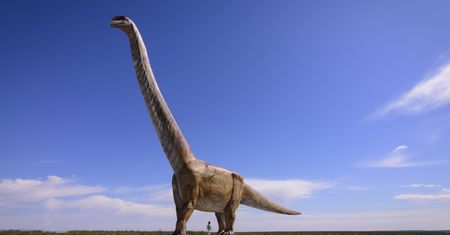 Skamielina dinozaura z Argentyny. Niesamowite odkrycie, które zaskakuje