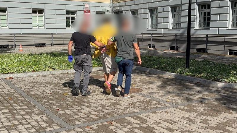policja