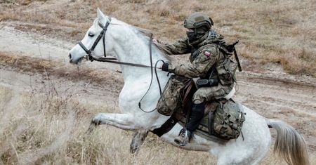 Kawaleria na straży polskiej granicy. Żołnierze NATO na koniach
