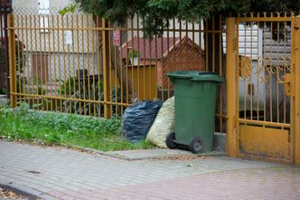 Rząd szykuje nowe przepisy. Branża ostrzega przed podwyżkami za śmieci