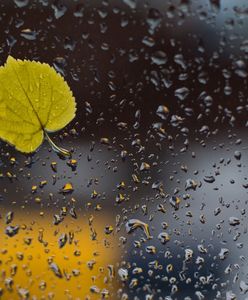 Deszczowy niż nad Polską. Uwaga na silny wiatr!