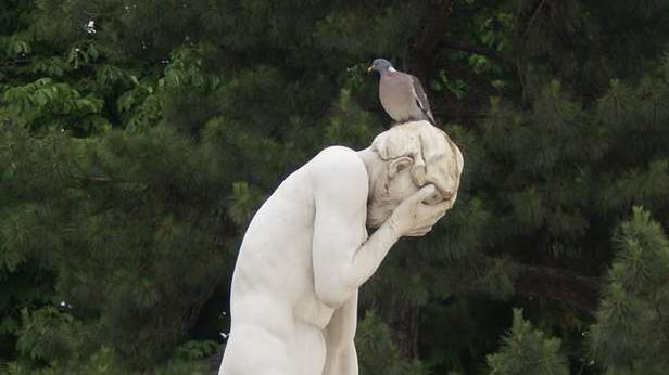 Najbardziej nieudane przejęcia w branży IT. Zobacz, jak firmy marnują miliardy dolarów! 1