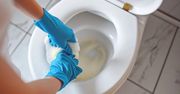 Robię domową aktywną pianę i muszla lśni czystością