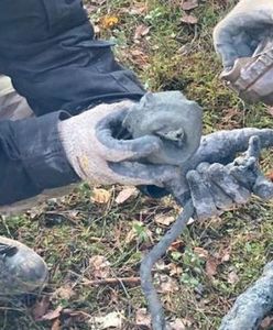 Odkrycie w lesie. To pozostałości tajnej broni Adolfa Hitlera