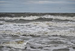 Alarmują o groźnych chemikaliach nad Bałtykiem. Wystosowano apele