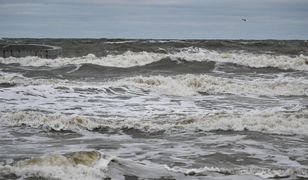 Alarmują o groźnych chemikaliach nad Bałtykiem. Wystosowano apele