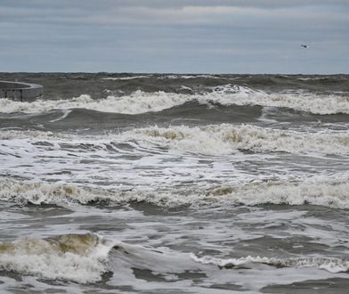 Alarmują o groźnych chemikaliach nad Bałtykiem. Wystosowano apele